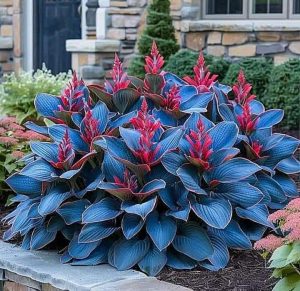 Хоста Грин Фог купить по цене от 669р. в интернет-магазине «Посадика» с доставкой почтой в в Леснойе и по всей России – [изображение №1].