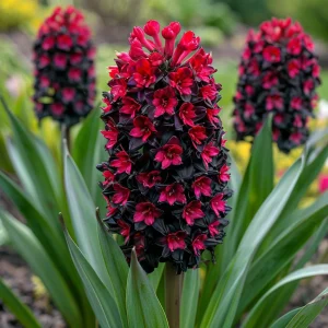 Гиацинт Джем Стоун купить по цене от 2099р. в интернет-магазине «Посадика» с доставкой почтой в в Леснойе и по всей России – [изображение №1].