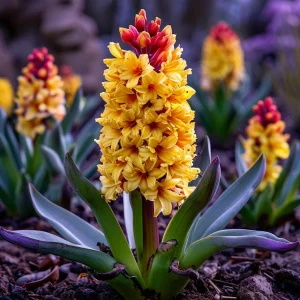 Гиацинт Миднайт Мистери купить по цене от 2099р. в интернет-магазине «Посадика» с доставкой почтой в в Леснойе и по всей России – [изображение №1].