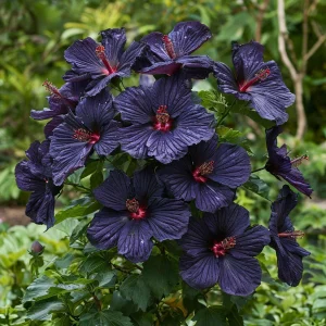 Гибискус Мэджик Момент купить по цене от 699р. в интернет-магазине «Посадика» с доставкой почтой в в Леснойе и по всей России – [изображение №1].