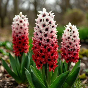 Гиацинт Скай Гарден купить по цене от 2099р. в интернет-магазине «Посадика» с доставкой почтой в в Леснойе и по всей России – [изображение №1].