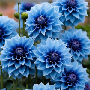 Георгин Вижапе купить по цене от 699р. в интернет-магазине «Посадика» с доставкой почтой в в Леснойе и по всей России – [изображение №1].